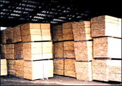 Our warehouse is full of lumber!