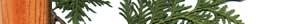 Motto's Cedar Products - Indoor and outdoor furniture, tables, chairs, beds, end tables, dressers, swings, etc.